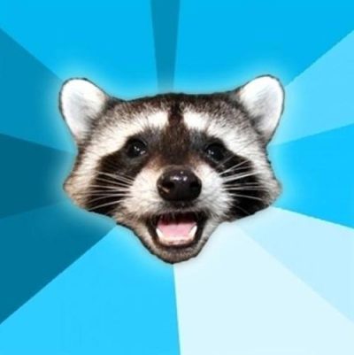 Cheesy Pun Raccoon