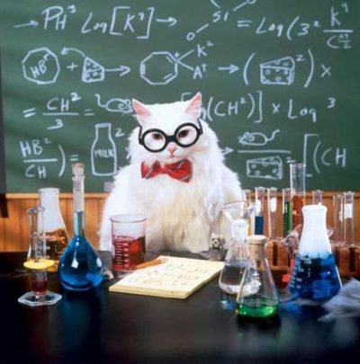 Chemistry Cat