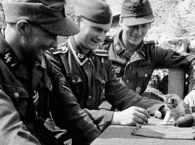 Wehrmacht Katzen Meme