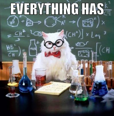 everything has
