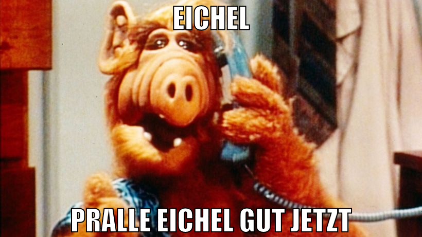 Eichel Pralle Eichel gut jetzt