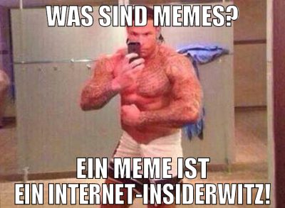Was sind Memes? Ein Meme ist ein Internet-Insiderw