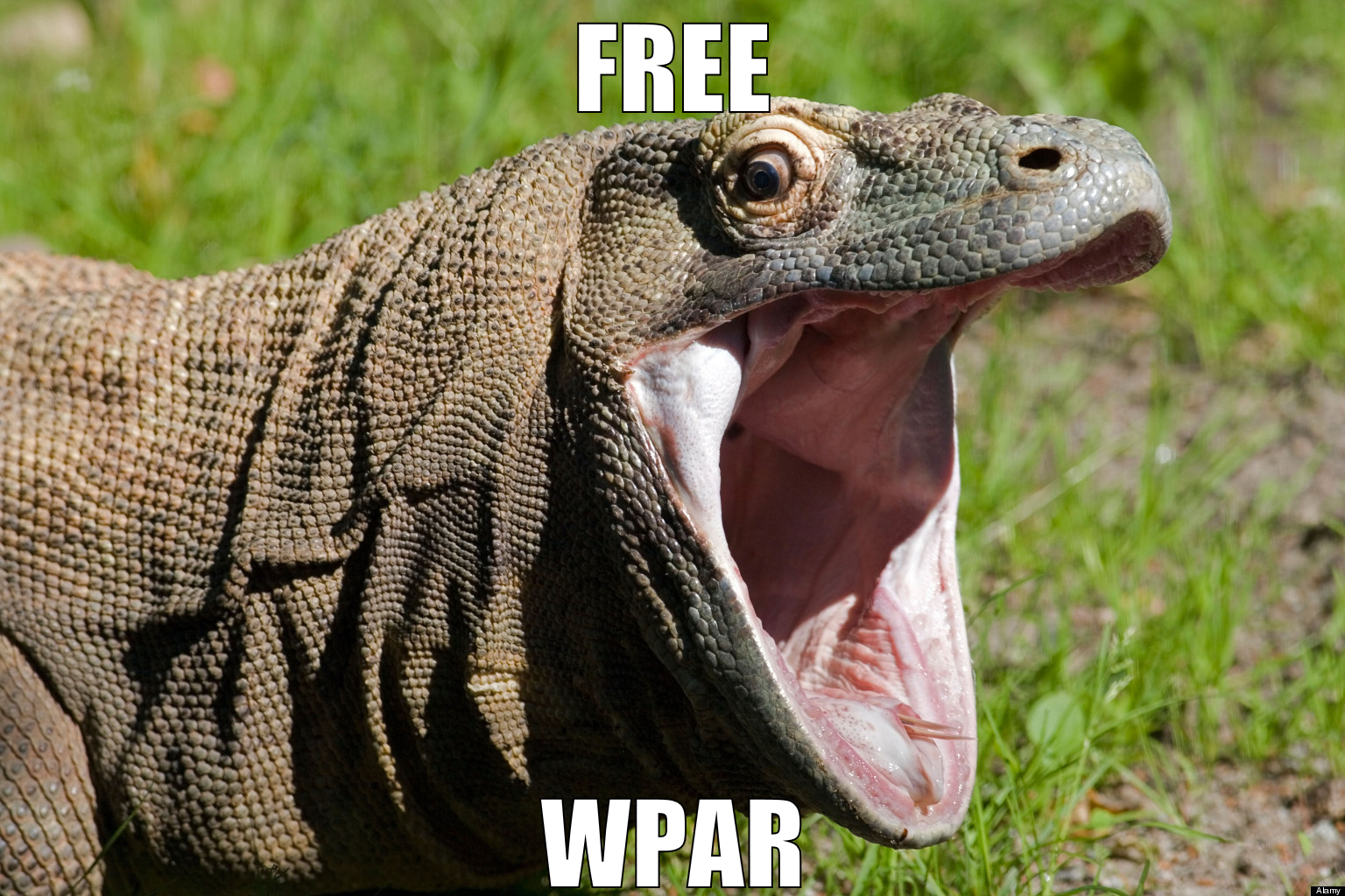 FREE Wpar