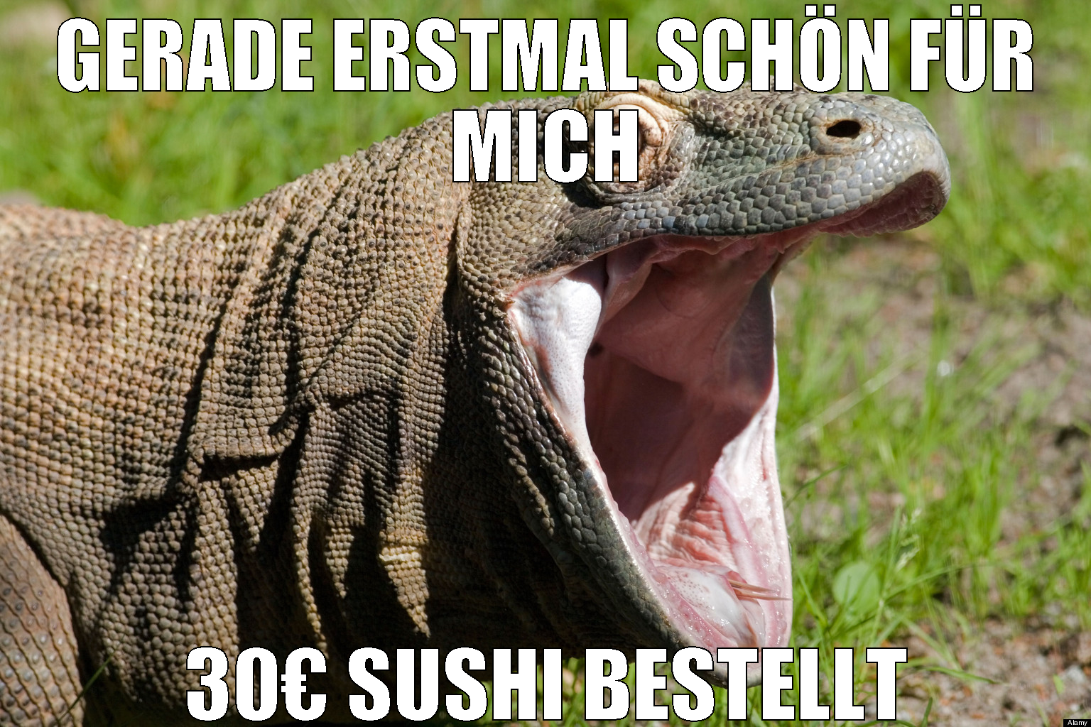 Gerade erstmal schön für mich 30€ sushi bestellt