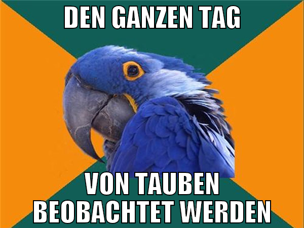den ganzen tag von tauben beobachtet werden