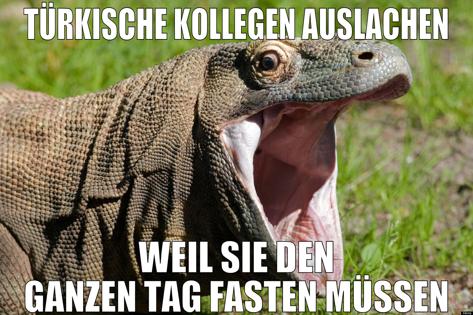 türkische kollegen auslachen weil sie den ganzen t