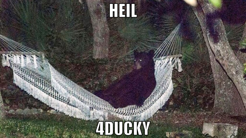 heil 4ducky