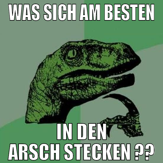 Was sich am besten in den arsch stecken ??