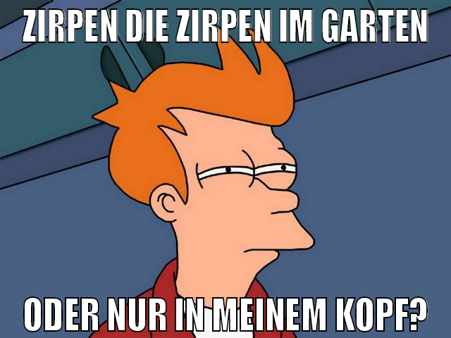 Zirpen die zirpen im garten oder nur in meinem kop