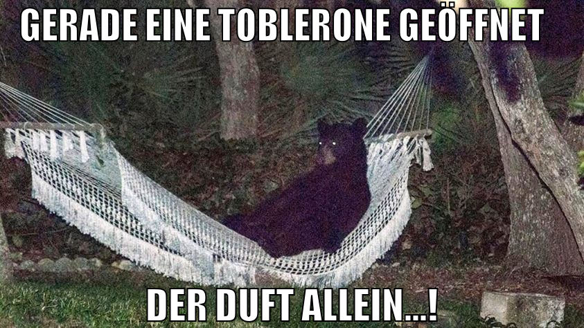 gerade eine toblerone geöffnet der duft allein...!