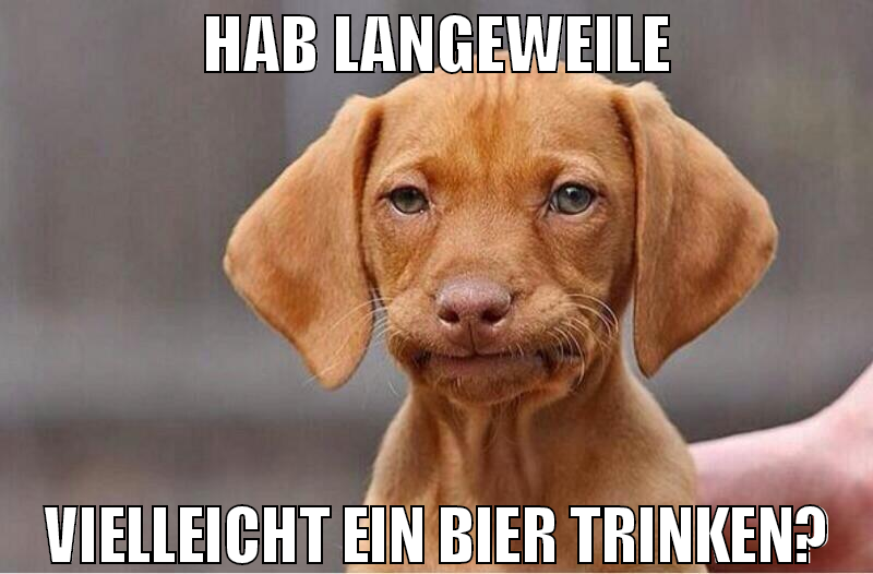 Hab langeweile vielleicht Ein bier trinken?