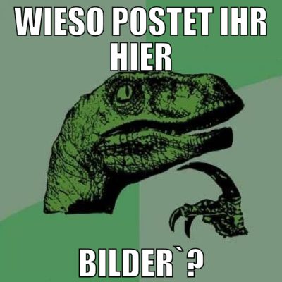 wieso postet ihr hier bilder`?