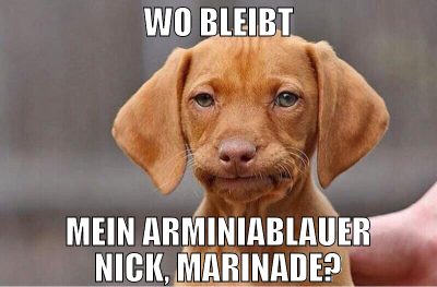 WO BLEIBT MEIN ARMINIABLAUER NICK, MARINADE?