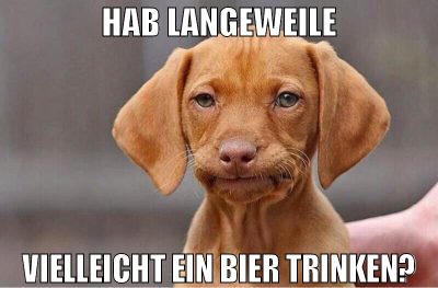 Hab langeweile vielleicht Ein bier trinken?