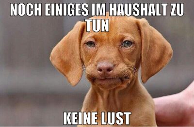 noch einiges im haushalt zu tun keine lust