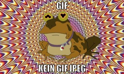 gif kein gif.jpeg
