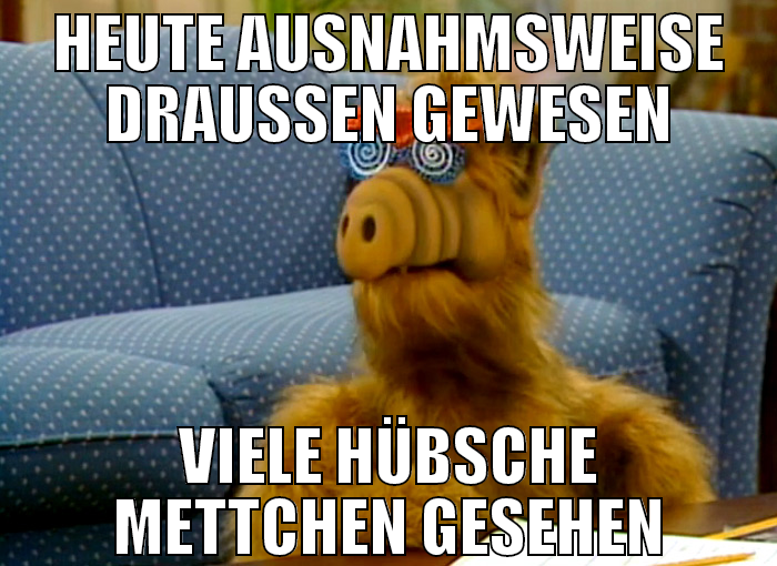 heute ausnahmsweise draußen gewesen viele hübsche