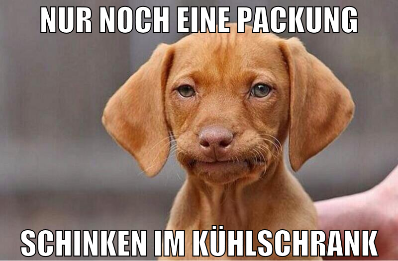 nur noch eine packung schinken im kühlschrank