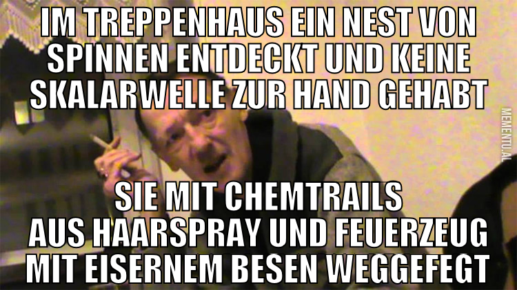 im treppenhaus ein nest von spinnen entdeckt und k