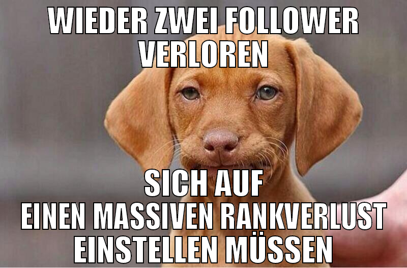 wieder zwei follower verloren sich auf einen massi