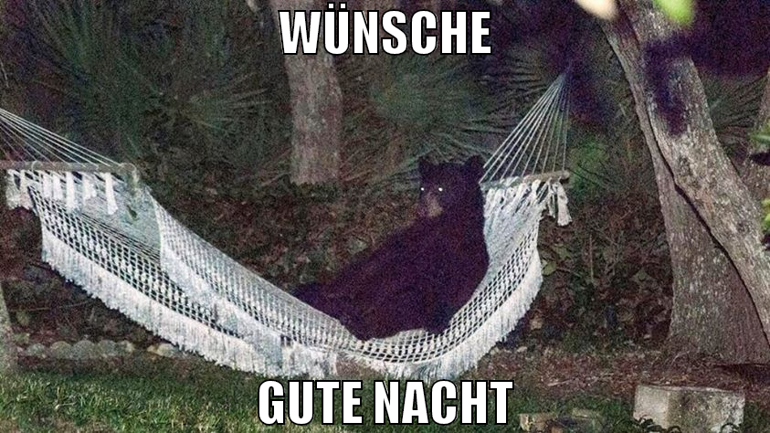Wünsche gute nacht