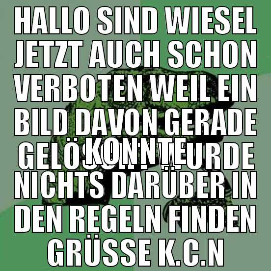 hallo sind wiesel jetzt auch schon verboten weil e