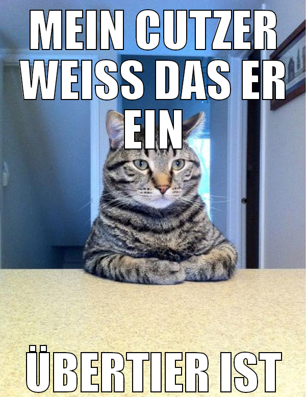 Mein Cutzer weiß das er ein übertier ist