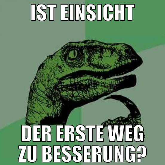 ist einsicht der erste weg zu besserung?
