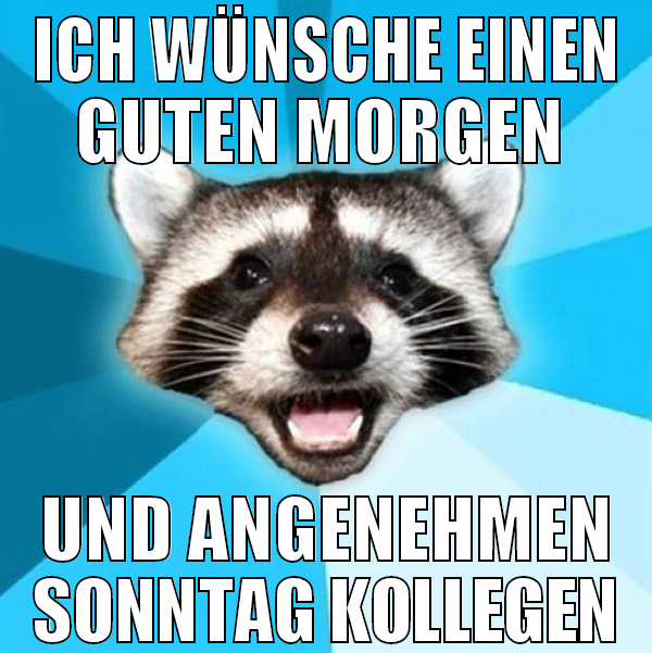 ich wünsche einen guten morgen  und angenehmen son