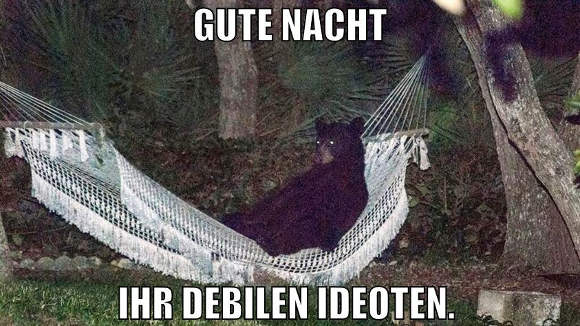 gute nacht ihr debilen ideoten.