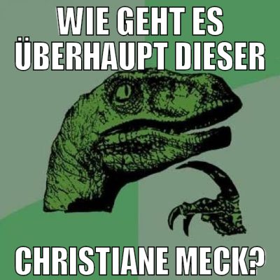 wie geht es überhaupt dieser christiane meck?