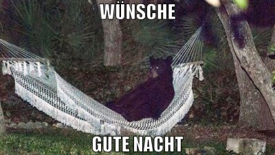 Wünsche gute nacht