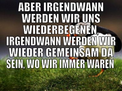 aber irgendwann werden wir uns wiederbegenen, irge