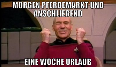 morgen pferdemarkt und anschließend eine woche url
