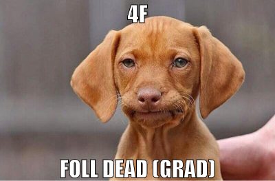 4f foll dead (grad)