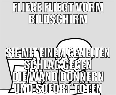 fliege fliegt vorm bildschirm sie mit einem geziel