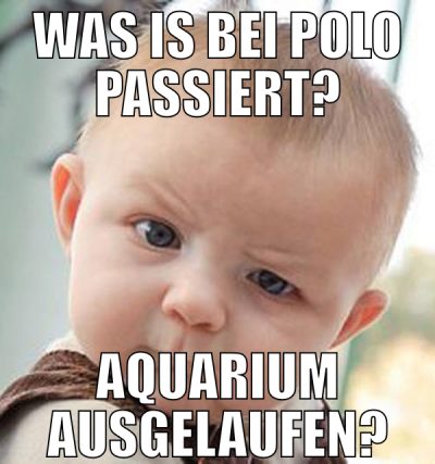 was is bei polo passiert? aquarium ausgelaufen?