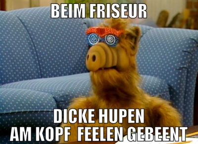 Beim Friseur dicke hupen am kopf  feelen gebeent