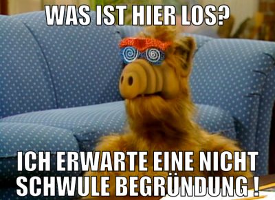 was ist hier los? ich erwarte eine nicht schwule b