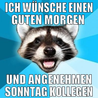 ich wünsche einen guten morgen  und angenehmen son