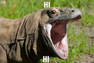 Hi Hi