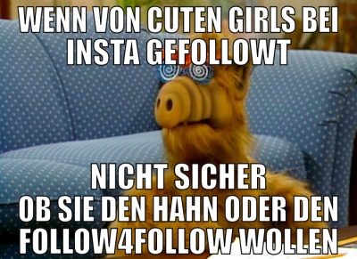 WENN VON CUTEN GIRLS BEI INSTA GEFOLLOWT NICHT SIC