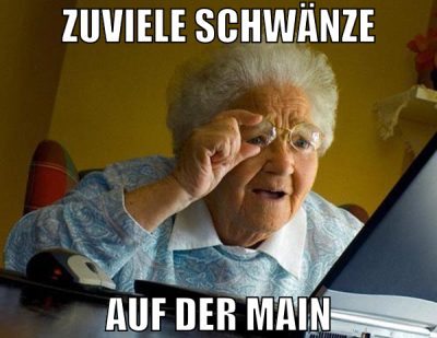 zuviele schwänze auf der main