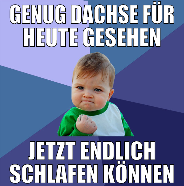 Genug Dachse für heute gesehen Jetzt endlich schla