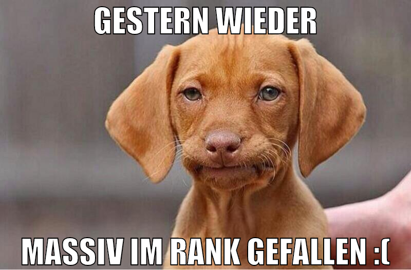 gestern wieder massiv im rank gefallen :(