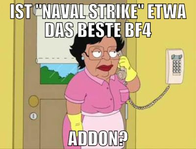 IST "NAVAL STRIKE" ETWA DAS BESTE BF4 ADDON?