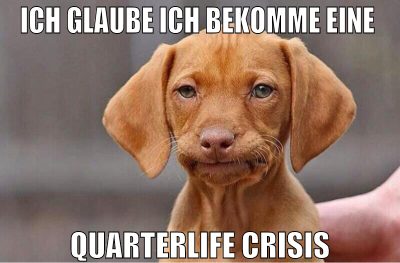 ich glaube ich bekomme eine  quarterlife crisis