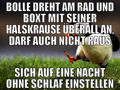 bolle dreht am rad und boxt mit seiner halskrause