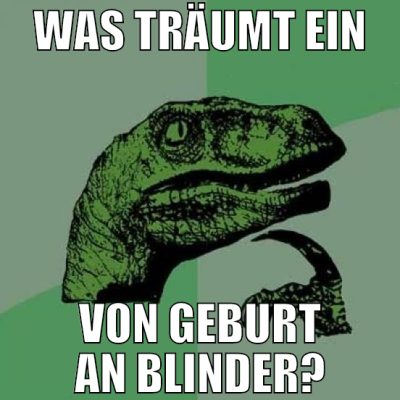 was träumt ein von geburt an blinder?