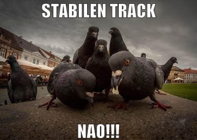 stabilen track nao!!!